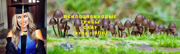 тгк Алзамай