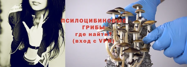 тгк Алзамай