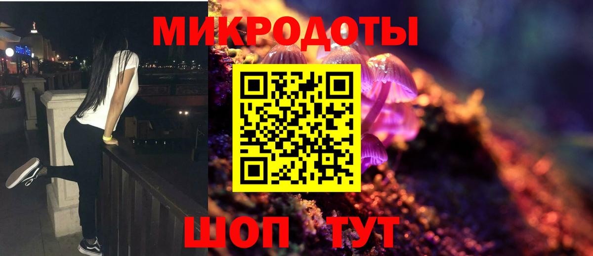 Псилоцибиновые грибы мицелий Сатка